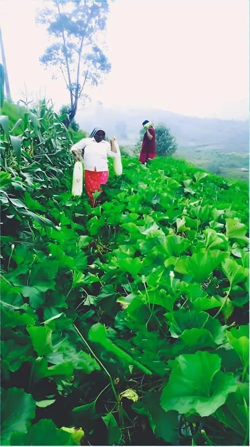 Orange Valley Farm Resort 蒙纳
