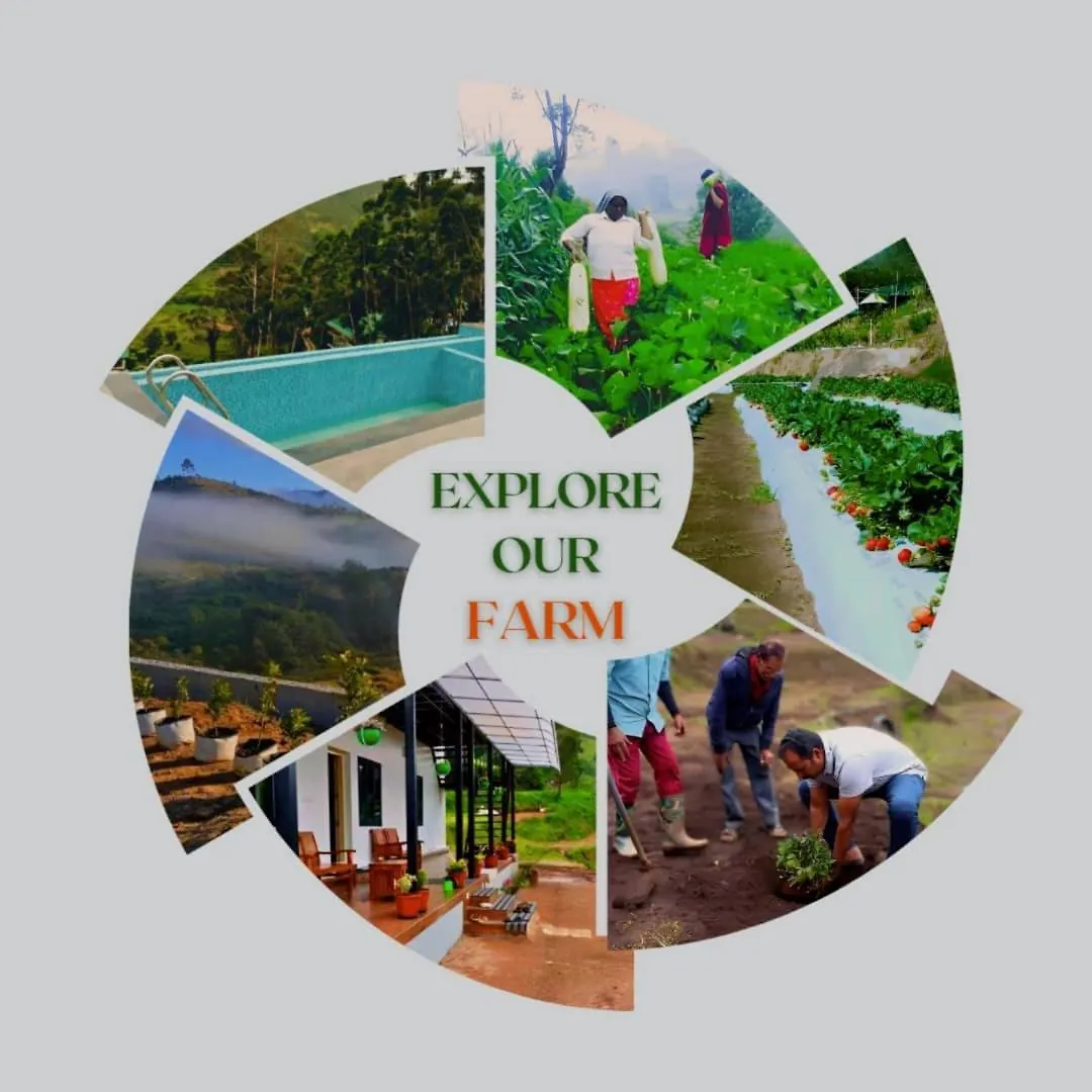Orange Valley Farm Resort 蒙纳 农家乐